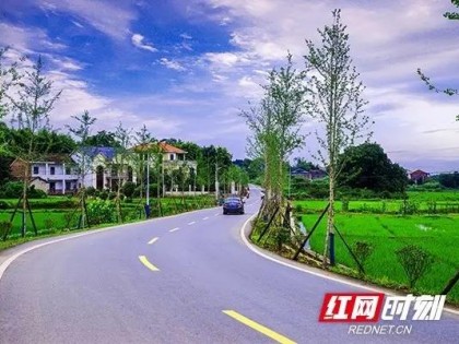 衡东县 绿化道路扮靓城乡大地