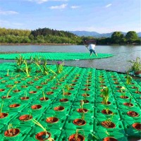 生态浮岛 公园湖泊绿化用园林资材 观赏性较好 御景